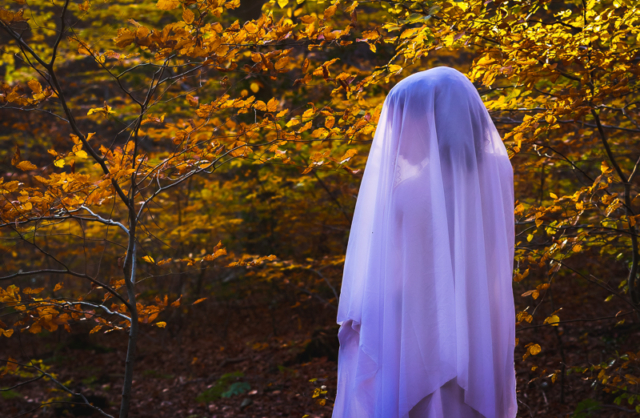 Autumn forest art fashion portrait.